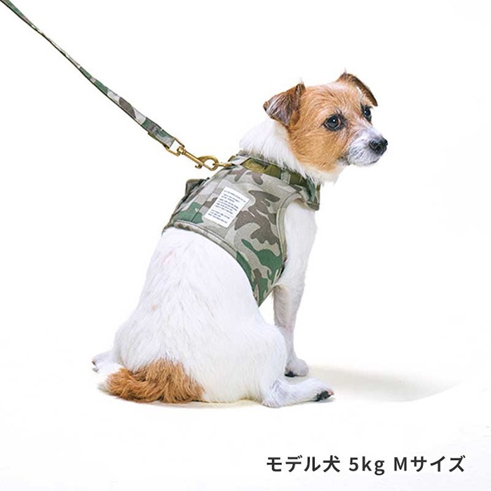 LIFELIKE �饤�ե饤�� �ߥ륢���ȥɥ�����ե�ϡ��ͥ� L