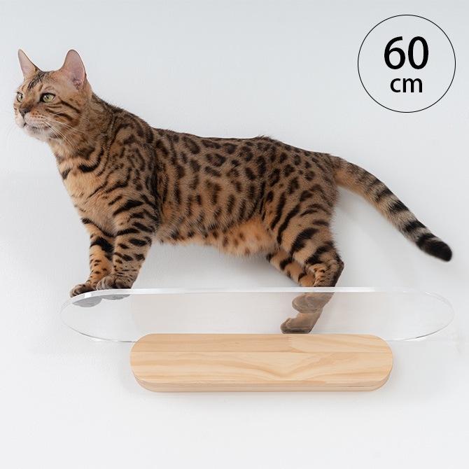 MYZOO マイズー OBLONG 透明キャットステップ 60cm MYZOO マイズー OBLONG 透明キャットステップ 60cm | 商品種別
