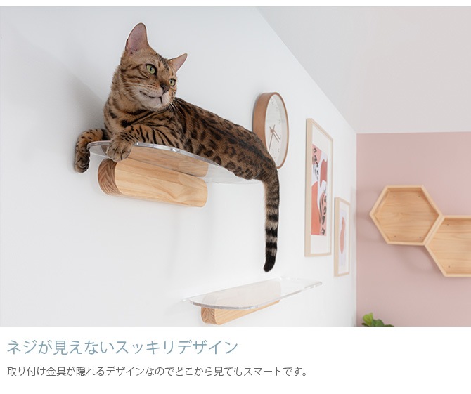 MYZOO �ޥ����� OBLONG Ʃ������åȥ��ƥå� 60cm