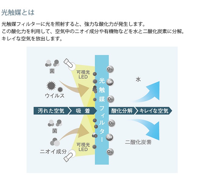 Kaltech ƥå ޽ݡæ ݡ֥륿
