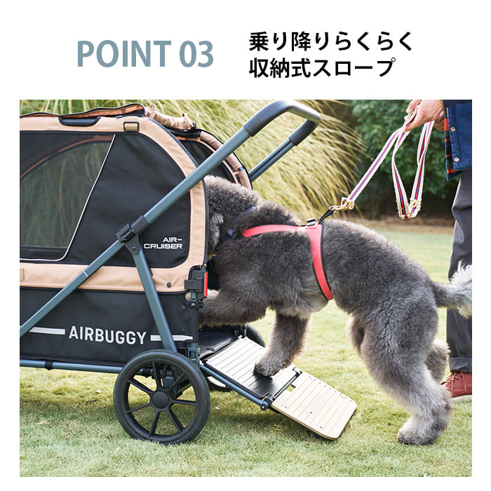 AIRBUGGY �����Х��� AIR CRUISER SET �������롼���� �١������롼�ե��å�