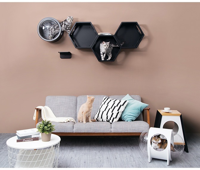 MYZOO �ޥ����� Busy cat ϻ�ѥϥ��� �ۥ磻��