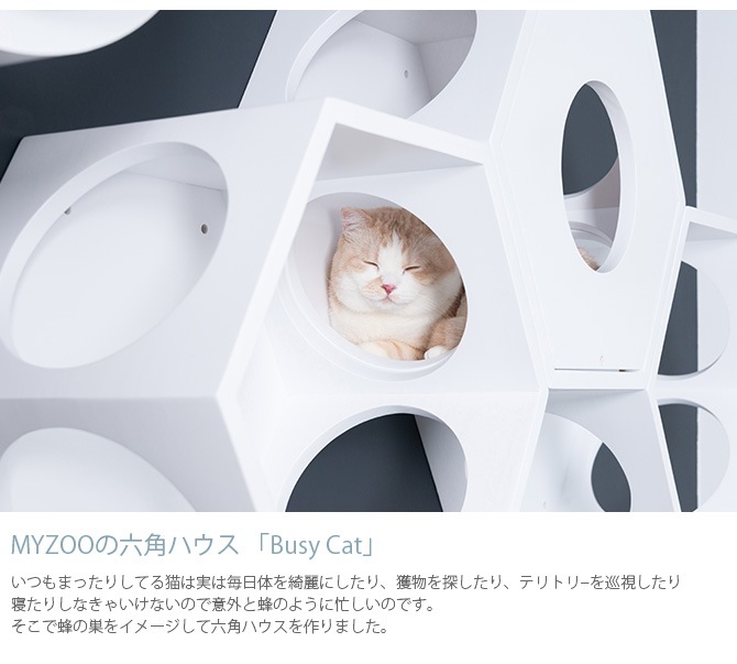 MYZOO �ޥ����� Busy cat ϻ�ѥϥ��� �ۥ磻��