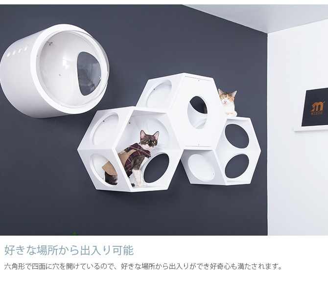 MYZOO �ޥ����� Busy cat ϻ�ѥϥ��� �ۥ磻��