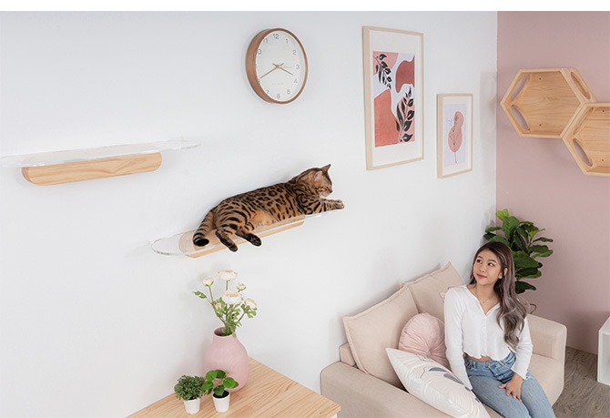 MYZOO �ޥ����� OBLONG Ʃ������åȥ��ƥå� 90cm