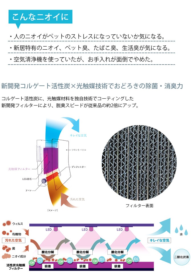 Kaltech ƥå ɡII ޽ݡæ ɳݤ 16