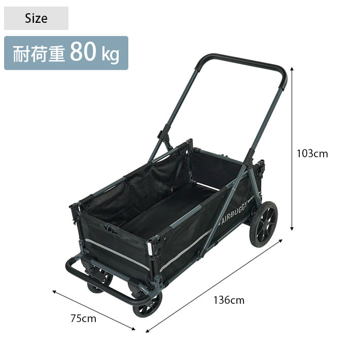 AIRBUGGY �����Х��� AIR CRUISER BASE �������롼���� �١��� �֥�å�