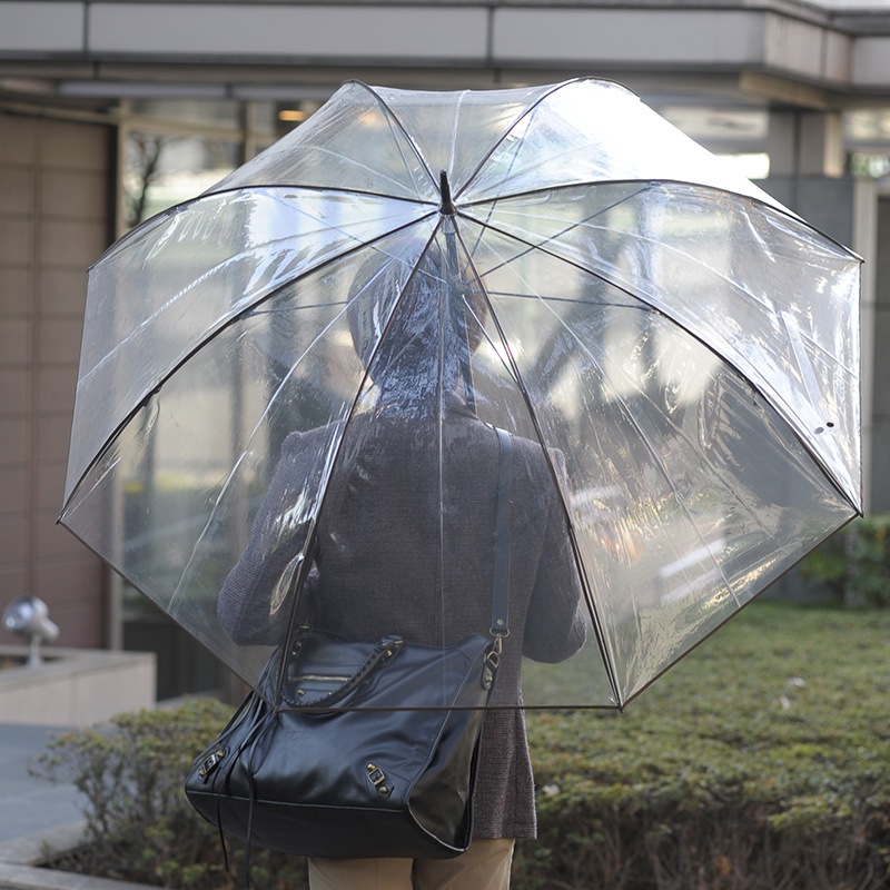 White Rose 仕込傘 信のすけ 売り切れで買えない逸品です 仕込傘 信のすけ - ホワイトローズ オンラインショップ