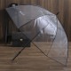 White Rose �ۥ磻�ȥ����� �礭�ʹ��ӥˡ��뻱 8�ܹ� 85cm �ƥ顦�ܥ���