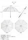 White Rose �ۥ磻�ȥ����� �礭�ʹ��ӥˡ��뻱 8�ܹ� 85cm �ƥ顦�ܥ���