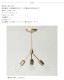 ACME Furniture ե˥㡼 SOLID BRASS LAMP 3ARM 45 BLASS