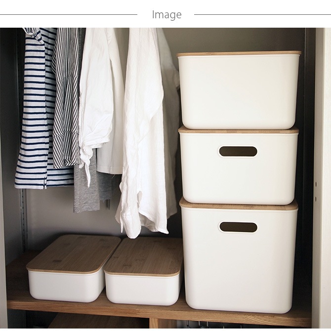 Linie �꡼�˥� �Х�֡���PP��Ǽ S