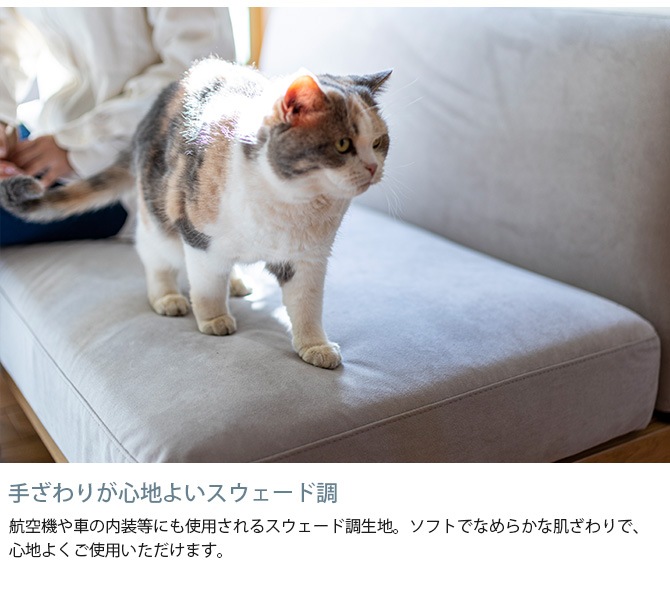 Fumi �ե� ̵�̤Τʤ����ե� �� �ڥå��б��Ǻ� ���ѥ��С� �����������