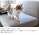 Fumi �ե� ̵�̤Τʤ����ե� �� �ڥå��б��Ǻ� ���ѥ��С� �����������