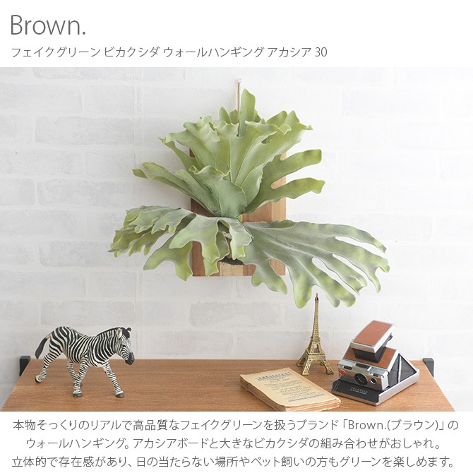 Brown. �֥饦�� �ե��������꡼�� �ӥ������� ��������ϥ󥮥� �������� 30