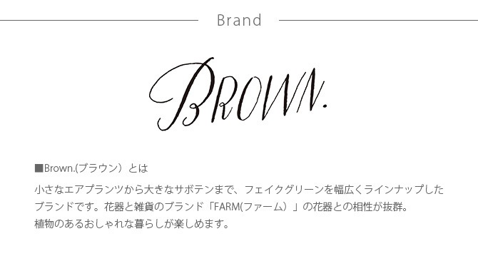 Brown. �֥饦�� �ե��������꡼�� �ӥ������� ��������ϥ󥮥� �������� 30