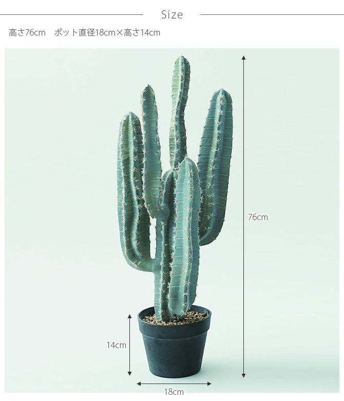 Brown. �֥饦�� �쥵�ܥƥ� �ݥå� 76