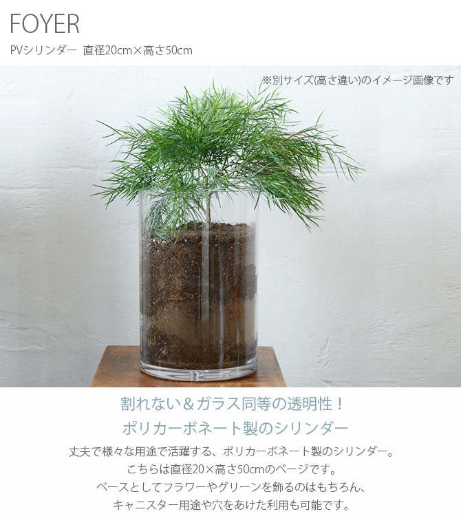 FOYER �ۥ磻�� PV�������� ľ��20cm�߹⤵50cm
