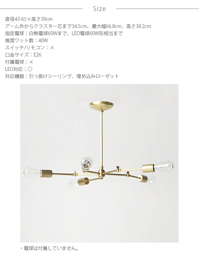 ACME Furniture ե˥㡼 SOLID BRASS LAMP 5ARM BLASS
