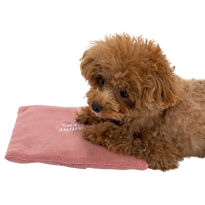 MANDARINE BROTHERS �ޥ�����֥饶���� �ۥåȥѥå� M