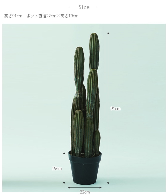 Brown. �֥饦�� �쥵�ܥƥ� �ݥå� 91