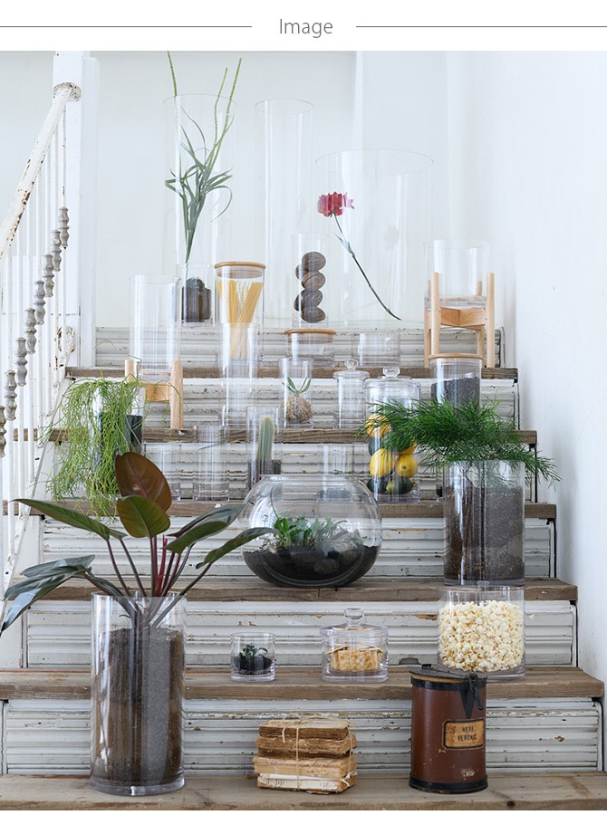 FOYER ۥ磻 PVХ֡ ľ12cm