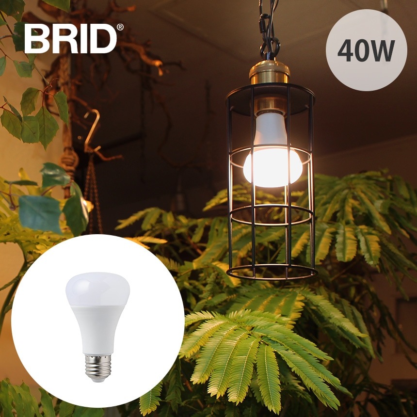 BRID ブリッド LED 植物育成ライト 40 COOL | 商品種別,グリーン