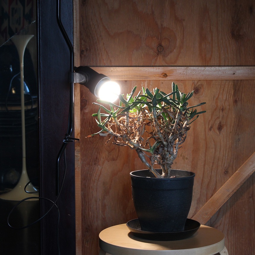 BRID �֥�å� LED ��ʪ�����饤�� 40 COOL