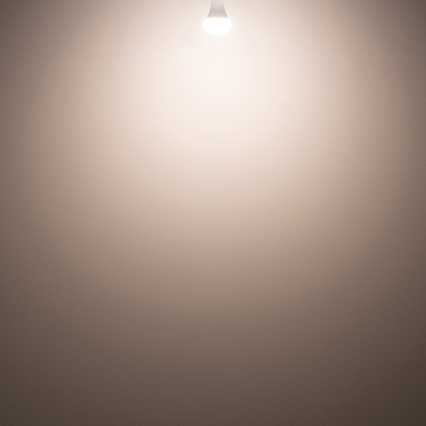 BRID �֥�å� LED ��ʪ�����饤�� 40 COOL