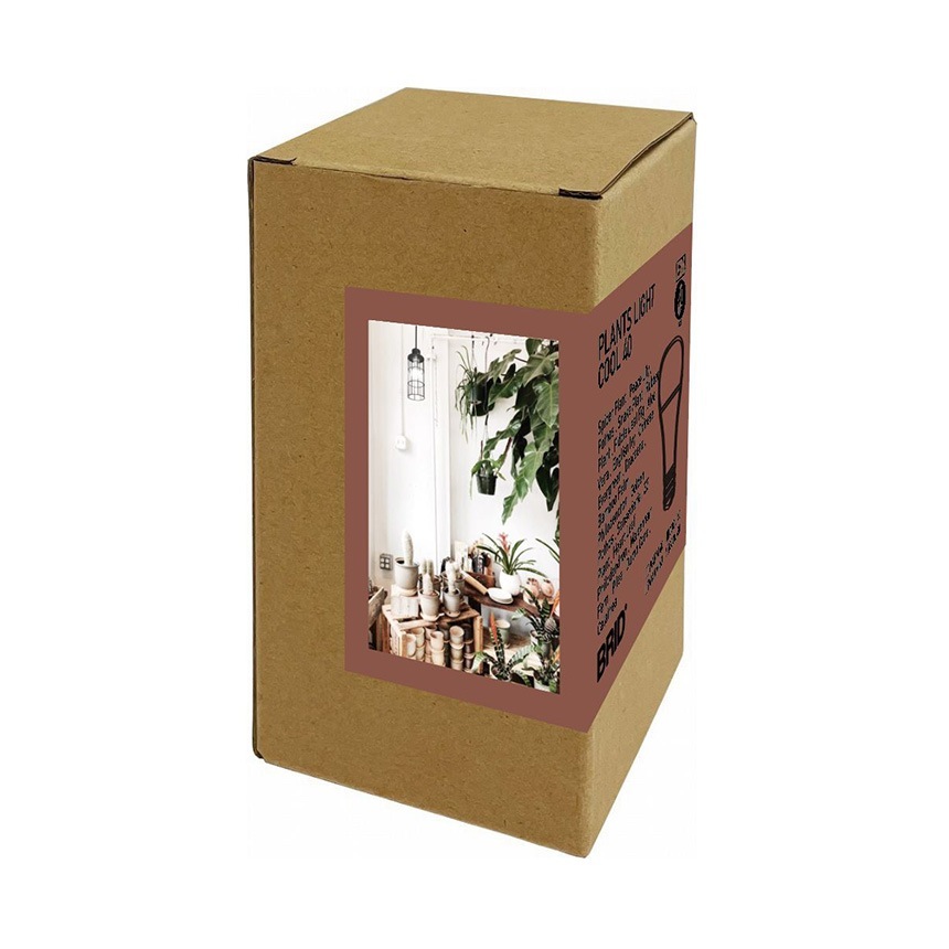 BRID �֥�å� LED ��ʪ�����饤�� 40 COOL