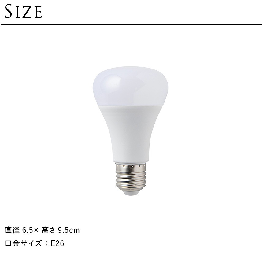 BRID �֥�å� LED ��ʪ�����饤�� 40 COOL