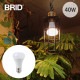 BRID �֥�å� LED ��ʪ�����饤�� 40 COOL