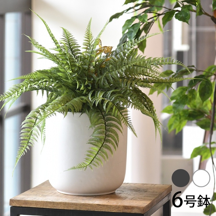 �����ݥåȥ��С� ��22cm��ľ��20cm�ޤǤ�ȭ�б���