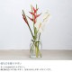 shesay ������ �ޤ�Τ��褱�䤹�� ��塼�����饹 �ե��١��� �ͥå� S