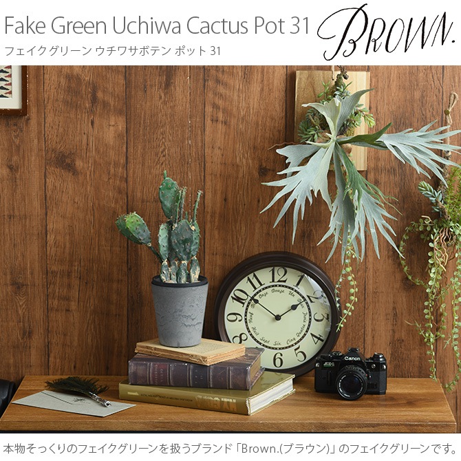 Brown. �֥饦�� �ե��������꡼�� �����掠�ܥƥ� �ݥå� 31