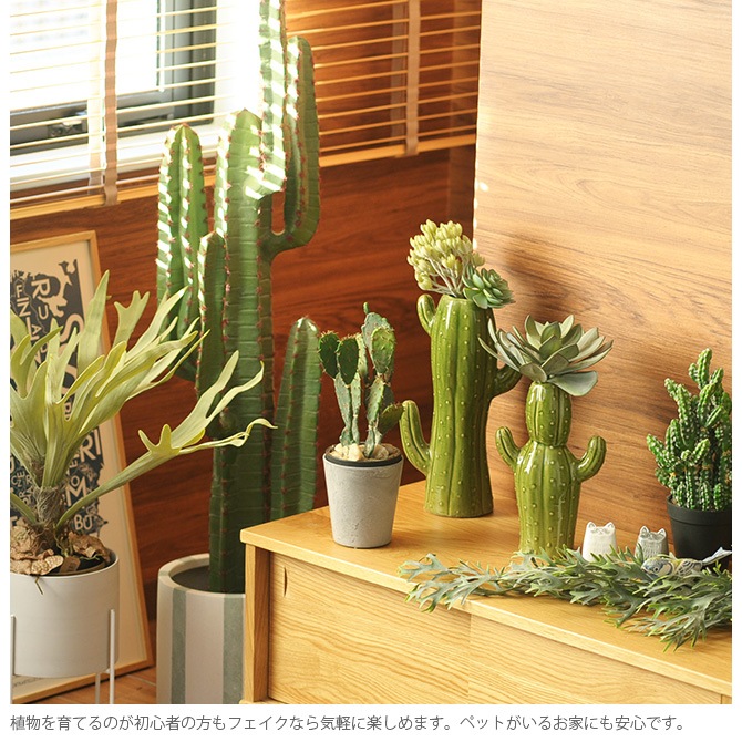 Brown. �֥饦�� �ե��������꡼�� �����掠�ܥƥ� �ݥå� 31