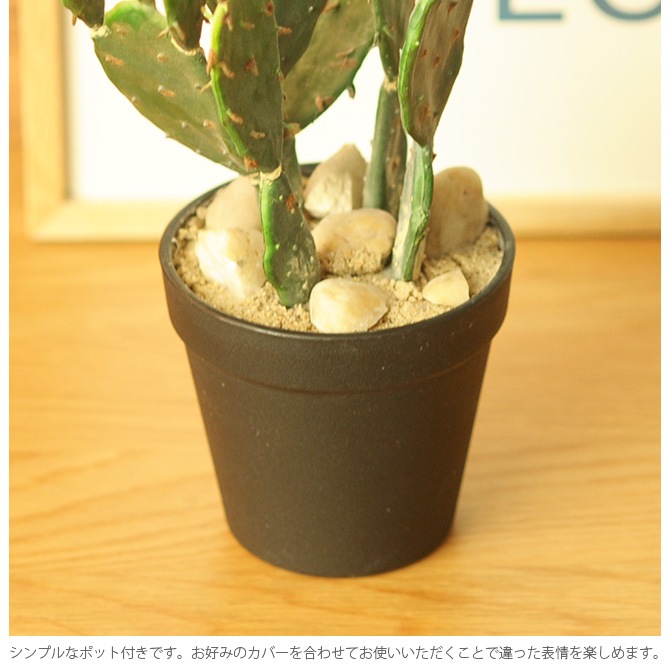 Brown. �֥饦�� �ե��������꡼�� �����掠�ܥƥ� �ݥå� 31