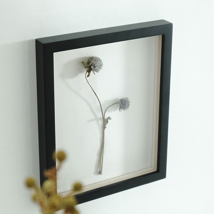 shesay ������ ��ͥ����ϤΥ��쥯����󥱡��� �쥯���󥰥�