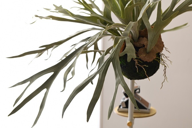 Brown. �֥饦�� �ե��������꡼�� �ӥ������� �ϥ󥮥󥰥ܡ��� 60