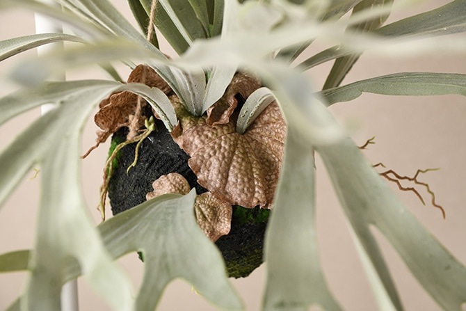 Brown. �֥饦�� �ե��������꡼�� �ӥ������� �ϥ󥮥󥰥ܡ��� 60