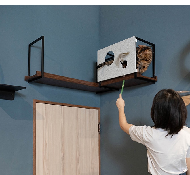 MYZOO �ޥ����� AVENUE ���С� M