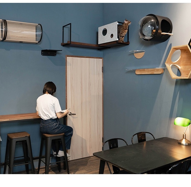 MYZOO �ޥ����� AVENUE ���С� M