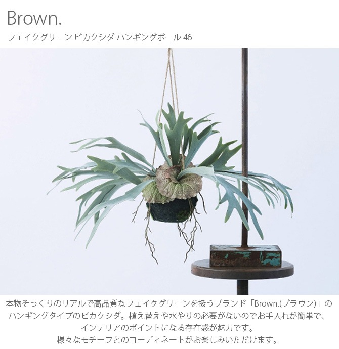 Brown. �֥饦�� �ե��������꡼�� �ӥ������� �ϥ󥮥󥰥ܡ��� 46