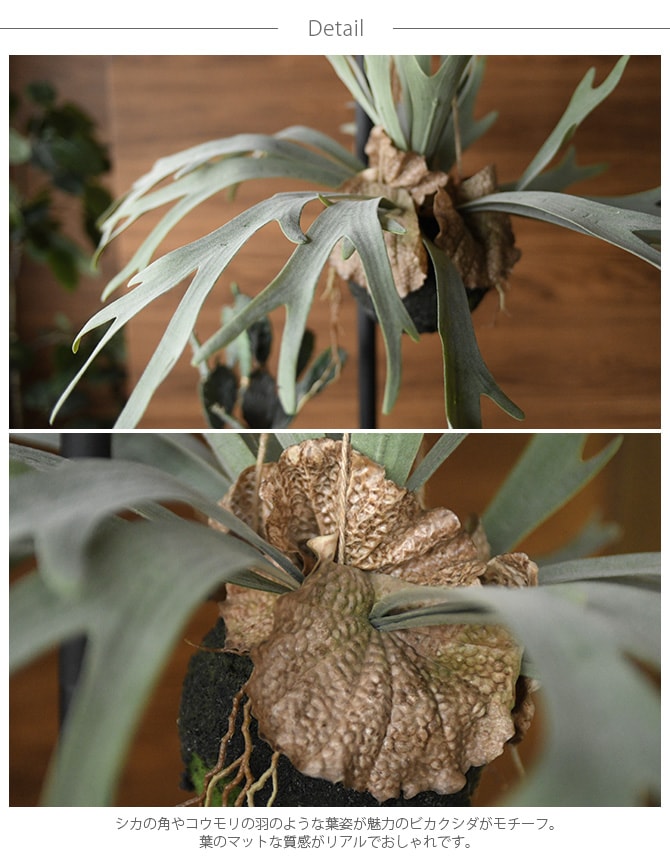 Brown. �֥饦�� �ե��������꡼�� �ӥ������� �ϥ󥮥󥰥ܡ��� 46