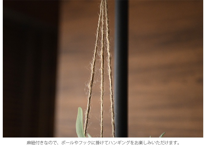 Brown. �֥饦�� �ե��������꡼�� �ӥ������� �ϥ󥮥󥰥ܡ��� 46