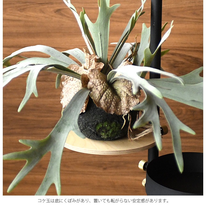 Brown. �֥饦�� �ե��������꡼�� �ӥ������� �ϥ󥮥󥰥ܡ��� 46