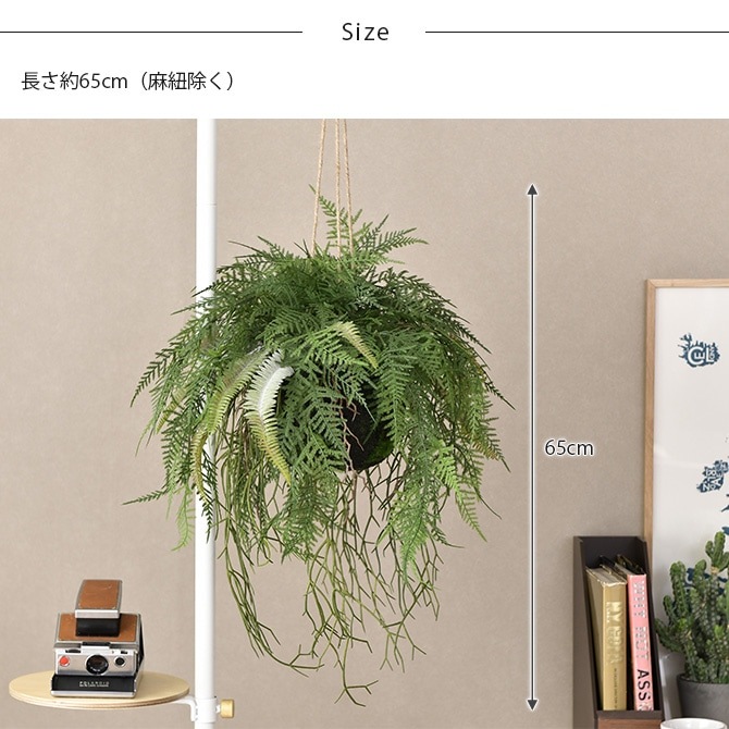 Brown. �֥饦�� �ե��������꡼�� �ե����� �ϥ󥮥󥰥ܡ��� 65