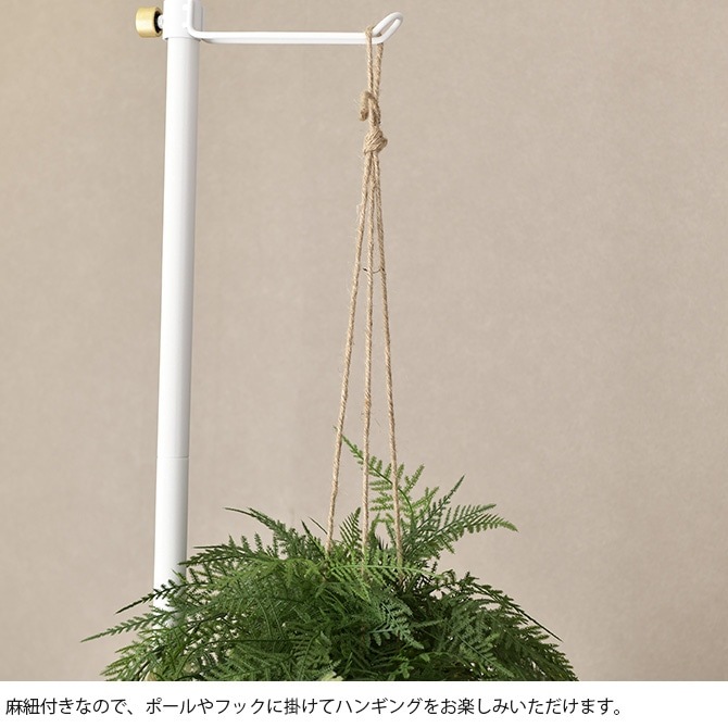 Brown. �֥饦�� �ե��������꡼�� �ե����� �ϥ󥮥󥰥ܡ��� 65