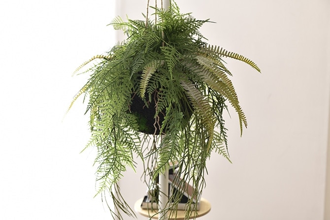 Brown. �֥饦�� �ե��������꡼�� �ե����� �ϥ󥮥󥰥ܡ��� 65