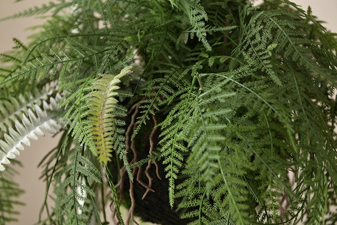 Brown. �֥饦�� �ե��������꡼�� �ե����� �ϥ󥮥󥰥ܡ��� 65